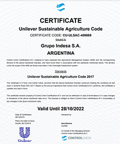 Certificado Unilever Indesa